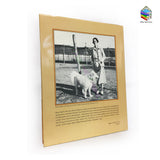 Because of Love My Life and Art with Meher Baba  By  Rano Gayley - Meher Book House